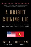 Image of A Bright Shining Lie