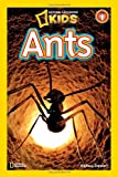 Image of The Ants